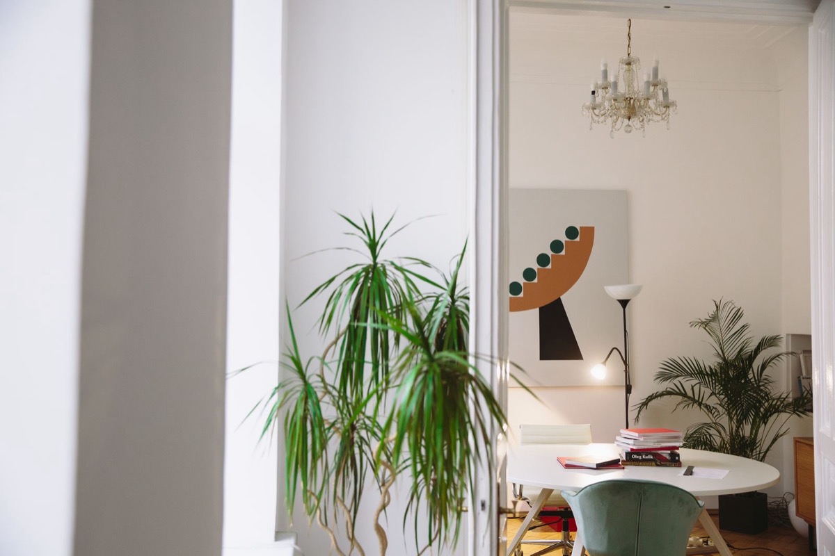 A bright room seen through a doorway, with a round white table, stacked books, a lamp and plants