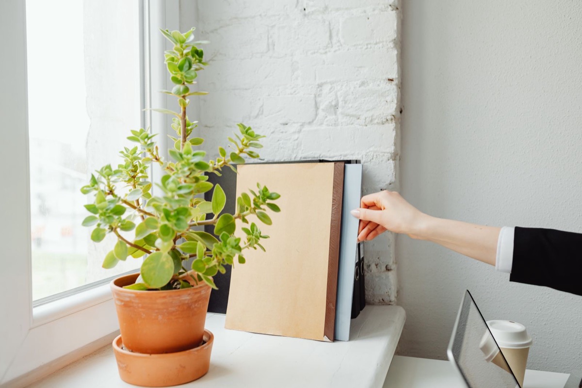 A hand adjusting a row of folders and binders on a white windowsill beside a potted plant