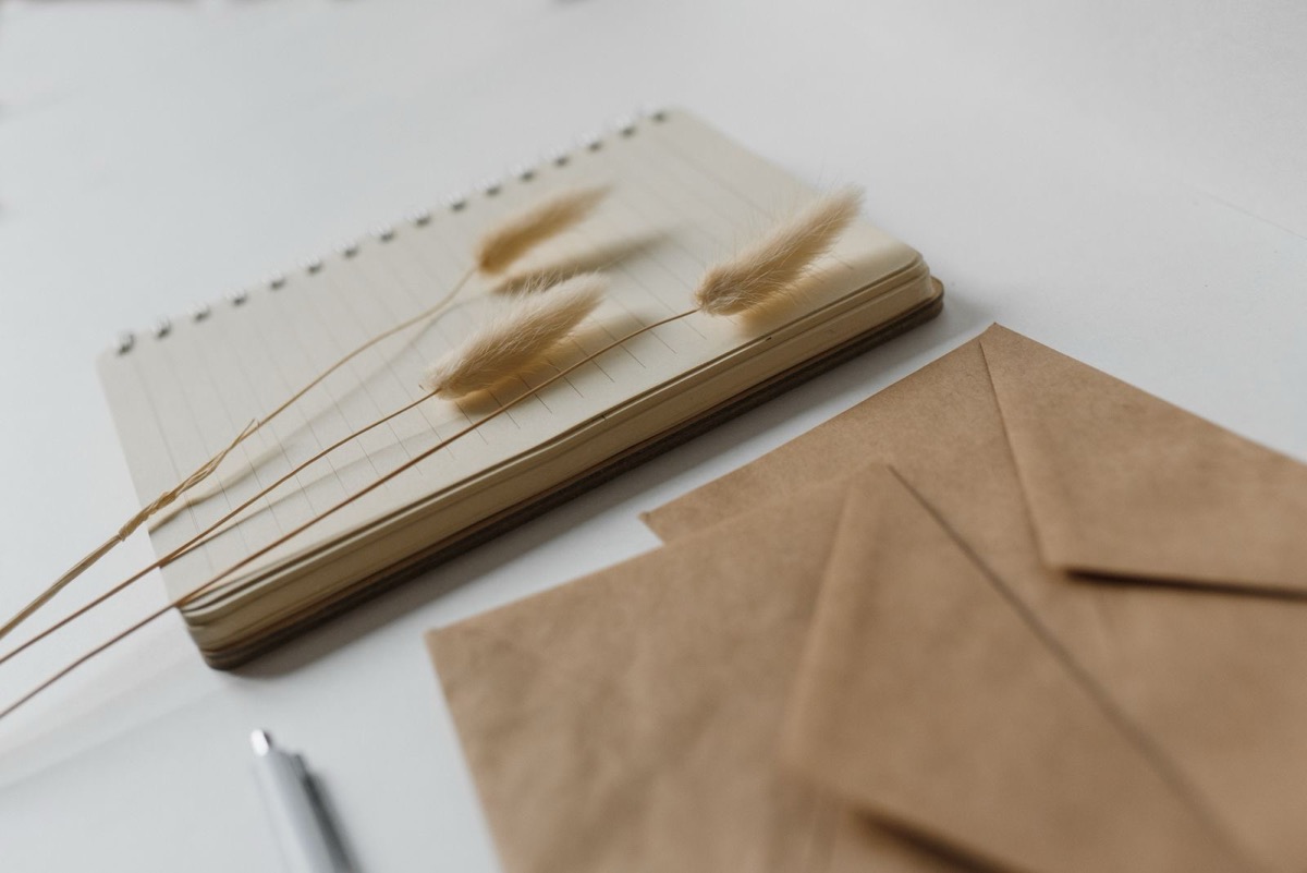 Plain brown kraft envelopes beside a spiral notebook, dried grass and a pen on a white desk